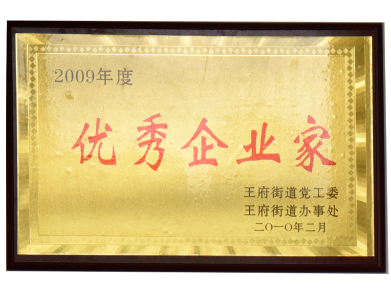 2009年度優(yōu) 秀企業(yè)家